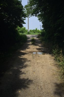 Güneşli bir günde gölgede toprak yol