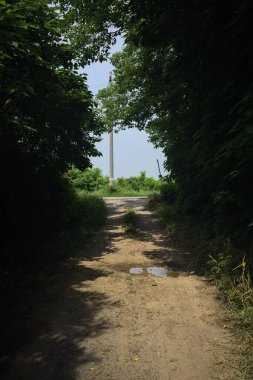 Güneşli bir günde gölgede toprak yol