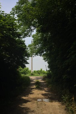 Güneşli bir günde gölgede toprak yol