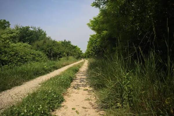İtalya kırsalında güneşli bir günde yol