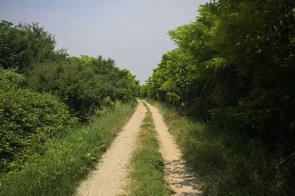 İtalya kırsalında güneşli bir günde yol