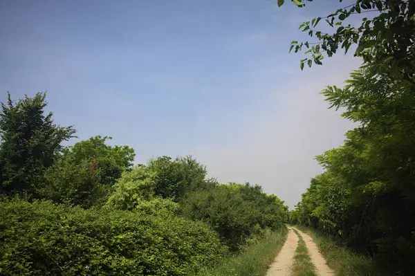 İtalya kırsalında güneşli bir günde yol