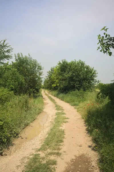 İtalya kırsalında güneşli bir günde yol