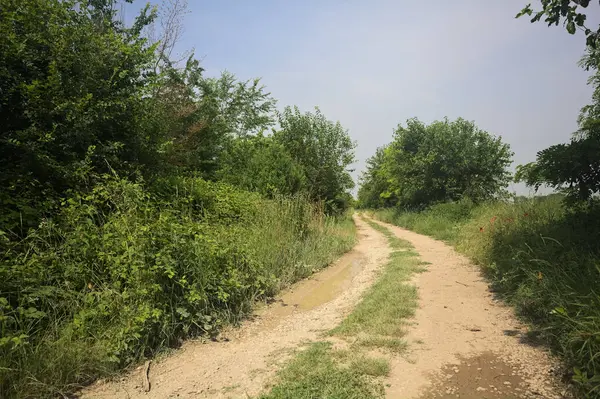 İtalya kırsalında güneşli bir günde yol