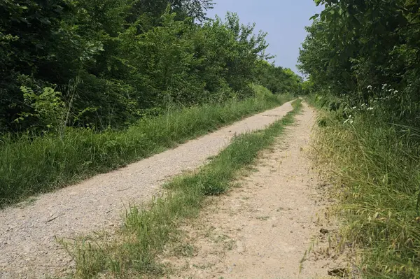 İtalya kırsalında güneşli bir günde yol