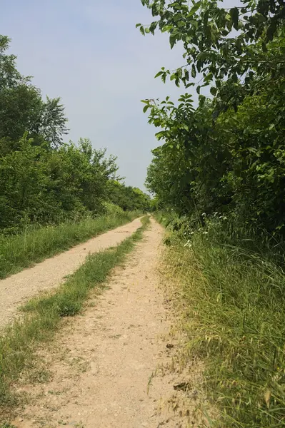 İtalya kırsalında güneşli bir günde yol