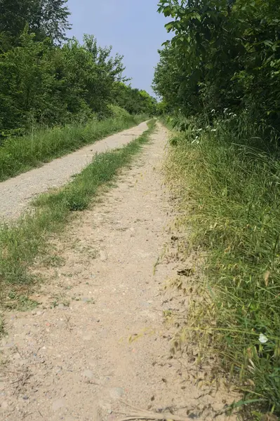 İtalya kırsalında güneşli bir günde yol