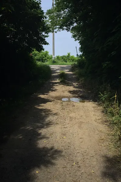 Güneşli bir günde gölgede toprak yol