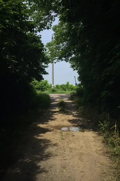 Güneşli bir günde gölgede toprak yol