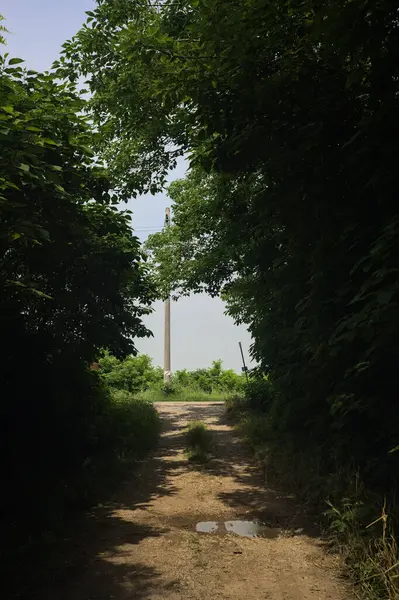 Güneşli bir günde gölgede toprak yol