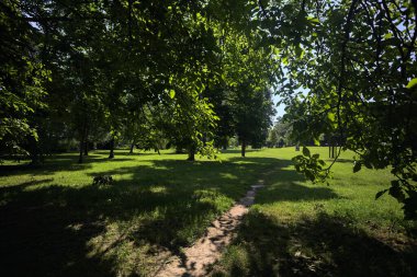 Kemer ağacının altındaki dar patika
