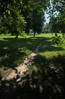 Kemer ağacının altındaki dar patika