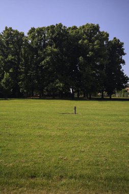 Parkta fıskiyeyle temizliyorum.