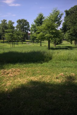 Güneşli bir günde parkta yol