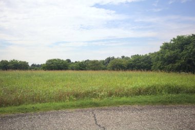 İtalya kırsalında bir tarla