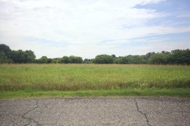 İtalya kırsalında bir tarla