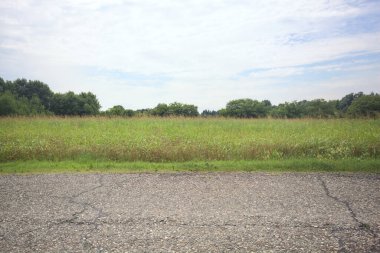 İtalya kırsalında bir tarla