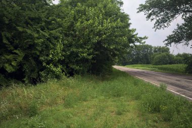 Ağaçların yanındaki köy yolu.