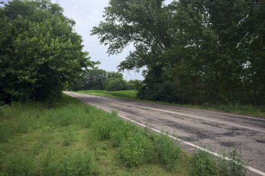 Ağaçların yanındaki köy yolu.