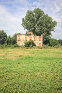 Terk edilmiş kır evi bir tarlada