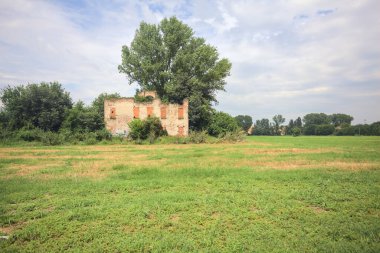 Terk edilmiş kır evi bir tarlada