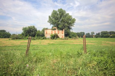 Terk edilmiş kır evi bir tarlada