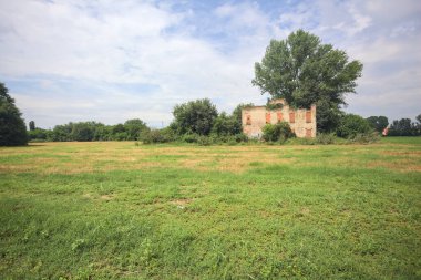 Terk edilmiş kır evi bir tarlada