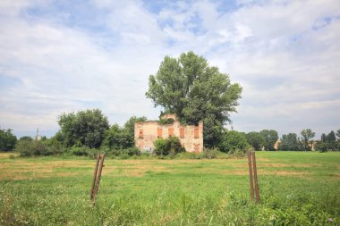 Terk edilmiş kır evi bir tarlada