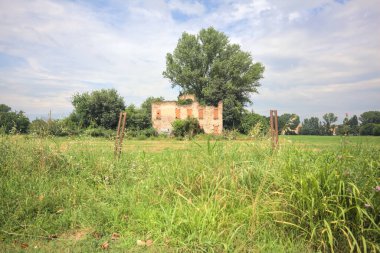 Terk edilmiş kır evi bir tarlada