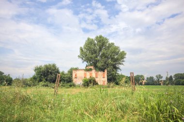 Terk edilmiş kır evi bir tarlada