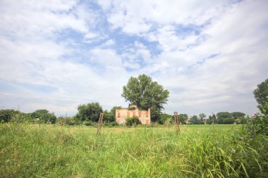 Terk edilmiş kır evi bir tarlada