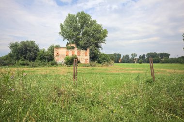 Terk edilmiş kır evi bir tarlada