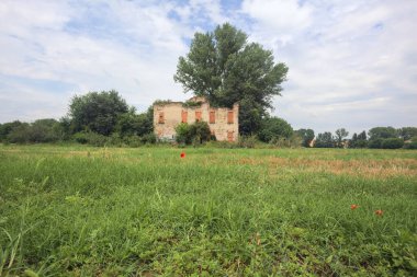 Terk edilmiş kır evi bir tarlada