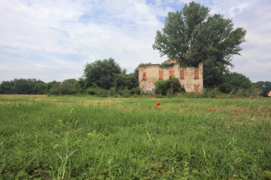 Terk edilmiş kır evi bir tarlada