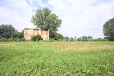 Terk edilmiş kır evi bir tarlada