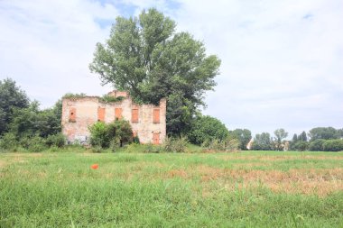 Terk edilmiş kır evi bir tarlada