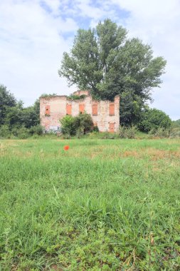 Terk edilmiş kır evi bir tarlada