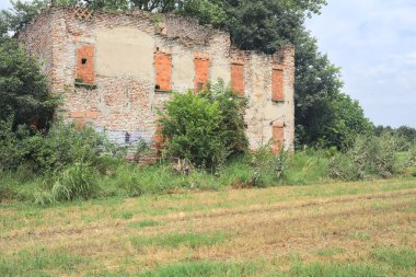 Terk edilmiş kır evi bir tarlada