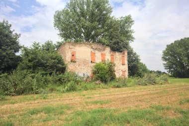 Terk edilmiş kır evi bir tarlada