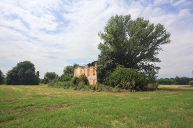 Terk edilmiş kır evi bir tarlada