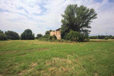 Terk edilmiş kır evi bir tarlada