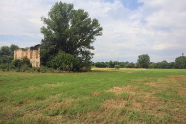 Terk edilmiş kır evi bir tarlada