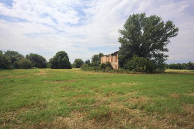 Terk edilmiş kır evi bir tarlada