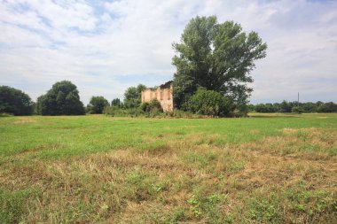 Terk edilmiş kır evi bir tarlada