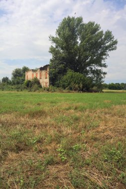 Terk edilmiş kır evi bir tarlada