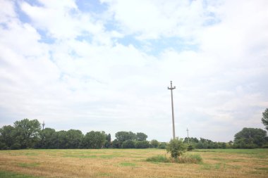 Ağaçlı bir tarlada sütunlar