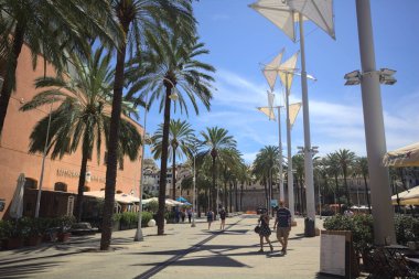 Deniz kıyısında gezinti