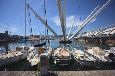 Deniz kıyısında tekneleri olan liman.