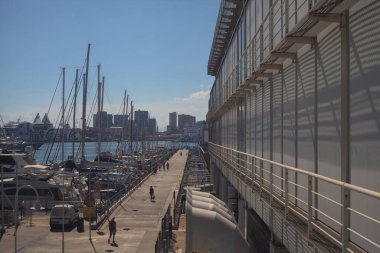 Demir atmış tekneleri olan iskele.