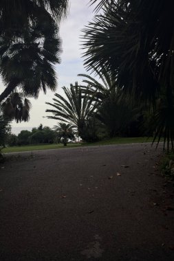 Bulutlu bir günde parkta yol